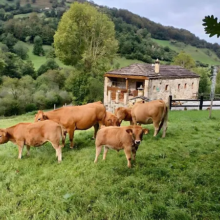 Pasiega Lo Minarro * San Roque de Riomiera