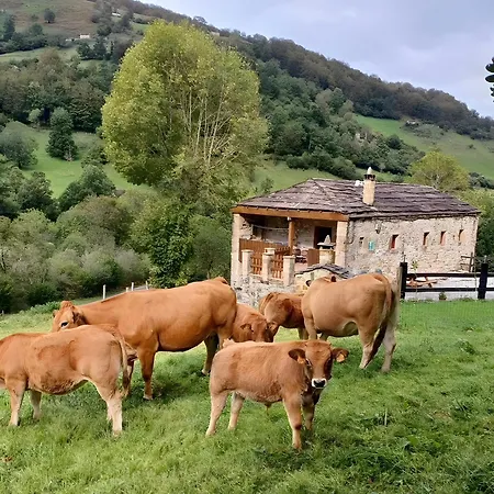 Pasiega Lo Minarro Kır Evi *