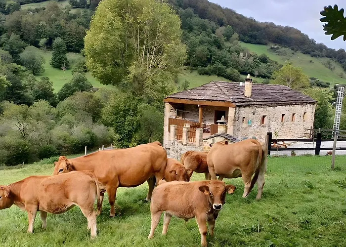 Pasiega Lo Minarro 컨트리하우스 *